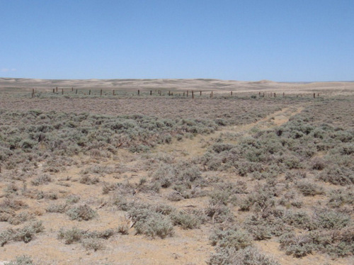 Heading East on CR 2317, Wyoming, GDMBR.